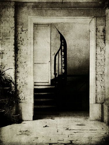 escalier van sophie etchart