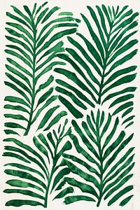 Fern