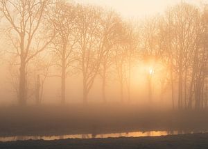 Zonsopkomst