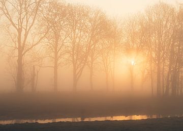 Sunrise by Vladimir Fotografie
