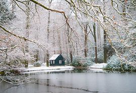 Winterszenen in Kroondomein het Loo für ein paar Stunden. wir waren gerade dabei, unsere Sachen zu packen, als es zu regnen begann. das war ein schöner kurzer Wintermorgen!!!