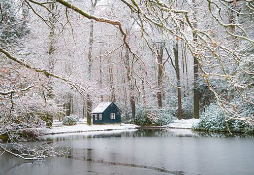 Winterse taferelen in Kroondomein het Loo voor een aantal uurtjes. we wilden net onze spullen pakken toen het begon te regenen. dat was een mooie winterse korte ochtend!!