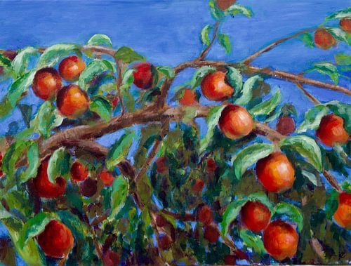Zwierige zomerse appels.  60x80cm