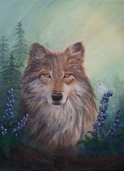 Wolf im warmen Licht