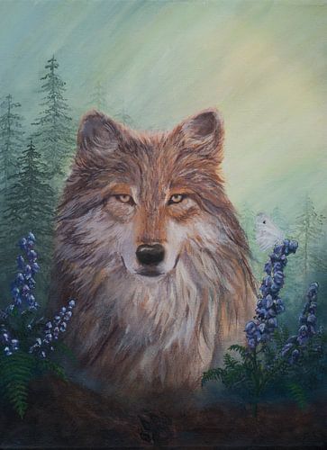 Loup dans une lumière chaude sur Jente Bergman