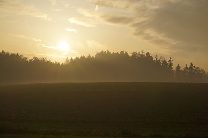 Bonjour. par Josef Rast Fotografie