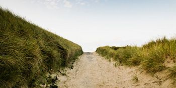 Traversée de dunes à Cadzand-Bad