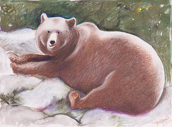 Der Bär lächelt