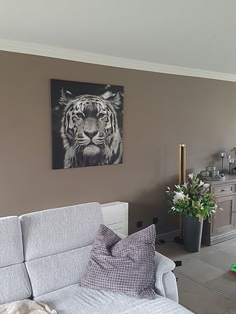 Time to stand and stare