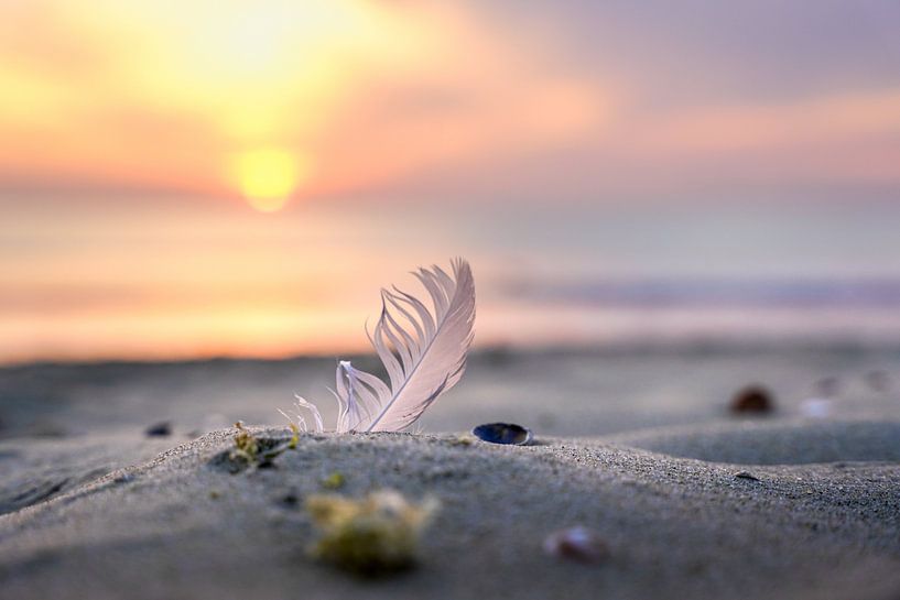 Dreamlike sunset by Danny Tchi Photography
