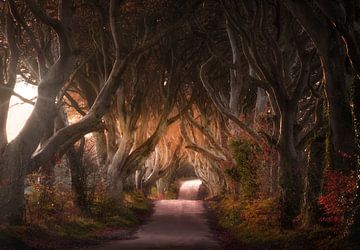 The Road of the King by Georgios Kossieris