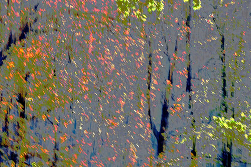 FRÜHLING 18