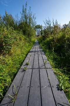 Veldpark Zaandam van Peter Bartelings