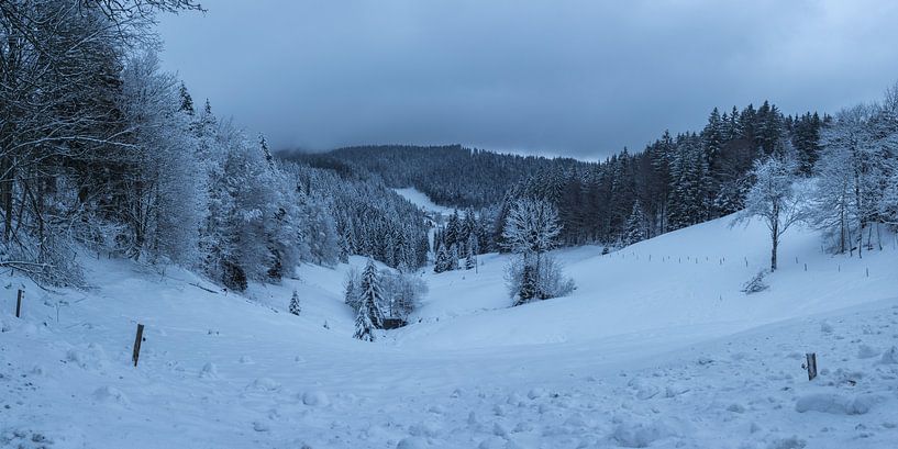 Deutschland, Verschneite Winterlandschaft im Schwarzwaldtal extra lar von adventure-photos