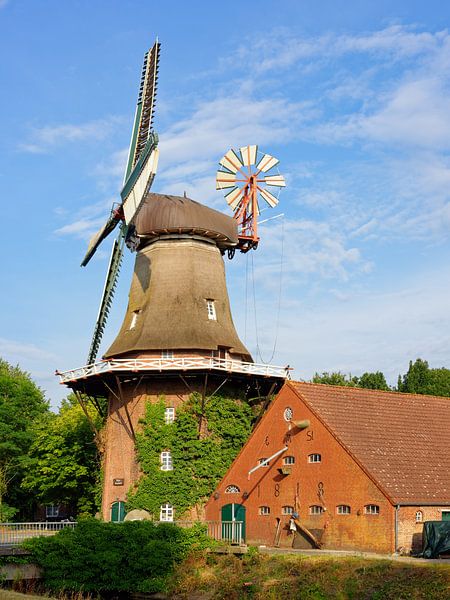 Steenblocks Mühle in Spetzerfehn - Ostfriesland von Gisela Scheffbuch