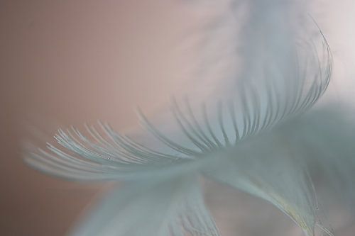 Ervaar en ervaar nog eens...