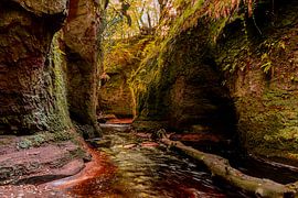 Devil's Pulpit (Finnich Glen) by Theo Fokker