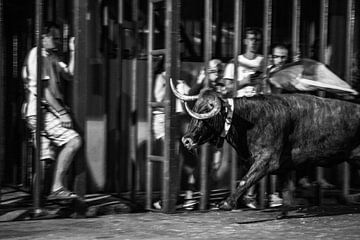 Stierengevecht van Arie-Jan Eelman