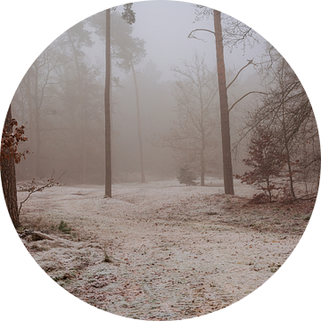 Winters bos in de mist van René Jonkhout