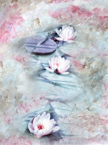 LILY POND