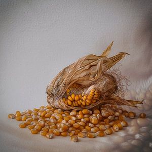 Corn von Marie-Anne Stas