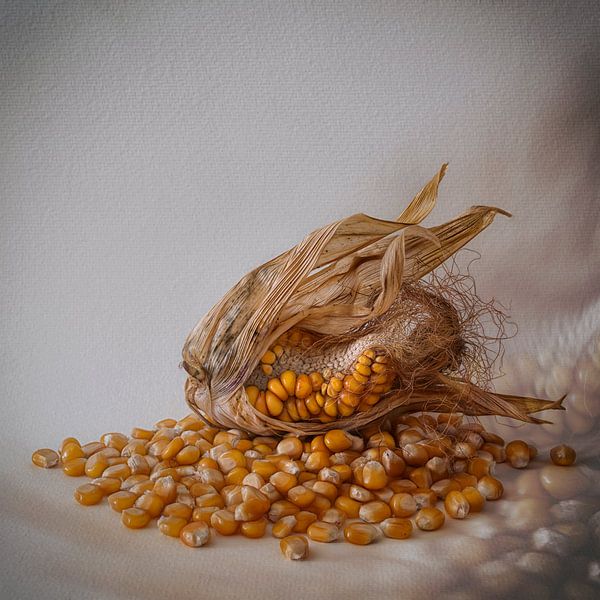 Corn par Marie-Anne Stas