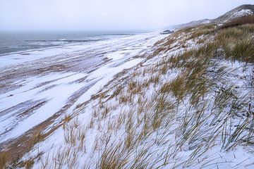 Snow at the coast of Zeeland by Sander Poppe