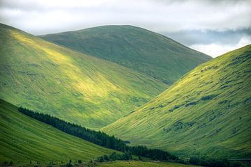 Collines écossaises