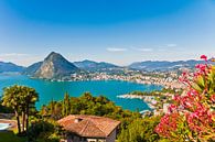 View of Lugano and Lake Lugano in Switzerland by Werner Dieterich thumbnail