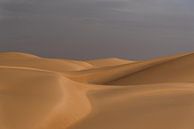 Dunes dans le désert du Sahara | Mauritanie par Photolovers reisfotografie Aperçu