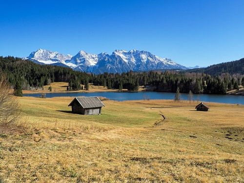 Voorjaarsmagie aan de Geroldsee - delicate krokusbloesems, rustig water en een indrukwekkende bergachtergrond. Een romantisch alpine motief vol kleur en rust.