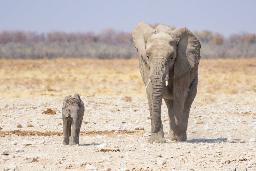 Mother and child van Jurgen Hermse