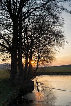 Bomen en bevroren water bij zonsondergang van Heidemuellerin