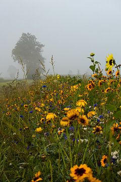 Wilde bloemen langs het weiland met aan de horizon in mist gehulde bomen van Bram Lubbers