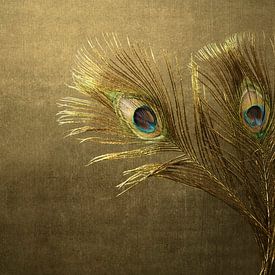 Pfauenfedern zur Begrüßung. von Alie Ekkelenkamp