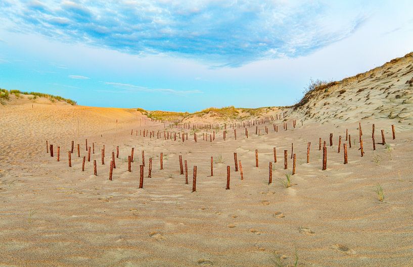Dunes de sable à l'automne par Yevgen Belich
