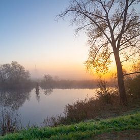 Landschaft in der Betuwe von Arthur Mourits