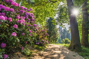 Sonnenaufgang im Schlosspark von Bad Homburg van Christian Müringer