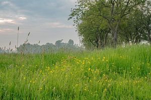 Park Lingezegen Teil 26