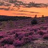 Sunset Posbank Rheden with orange glow in the sky by Rick van de Kraats