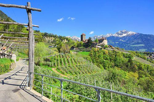 Schloss Tirol im Frühling von Gisela Scheffbuch