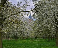 Blossoms Zulle