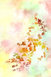 Autumn magic by Dusanka Djeric