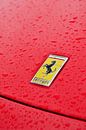 L'emblème Ferrari sur une Ferrari rouge par Sjoerd van der Wal Photographie Aperçu