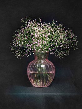 Stilleven roze gipskruid