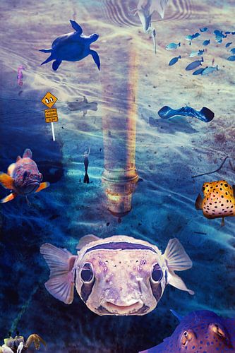 Laat ons vissen met rust!