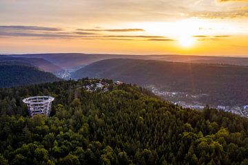 Tree top walk on the Sommerberg in Bad Wildbad by Werner Dieterich