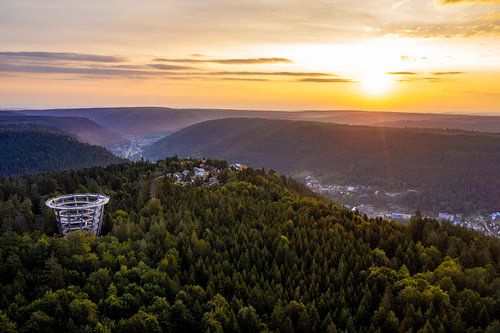 Promenade dans les arbres sur le Sommerberg à Bad Wildbad