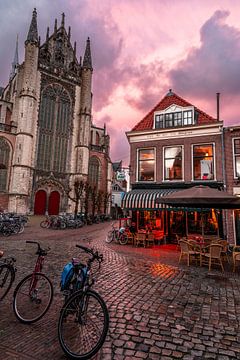 Leiden - De Hooglandse kerk en de Uyl van Hoogland (0124) van Reezyard