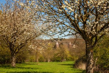 Lente rond de Abdij Sint-Benedictusberg  in Mamelis van John Kreukniet